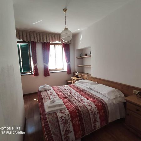 Lozzo Cadore La Favorita Bed & Breakfast エクステリア 写真